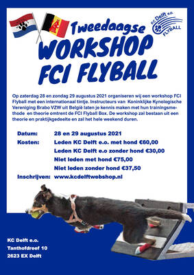 workshop-fci-flyball-belgen